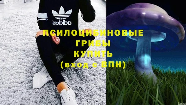 гидропоника Зеленокумск