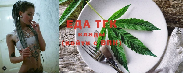 индика Заводоуковск