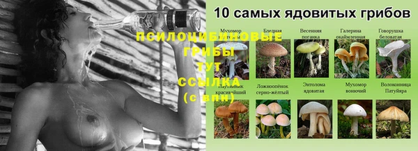 гидропоника Зеленокумск